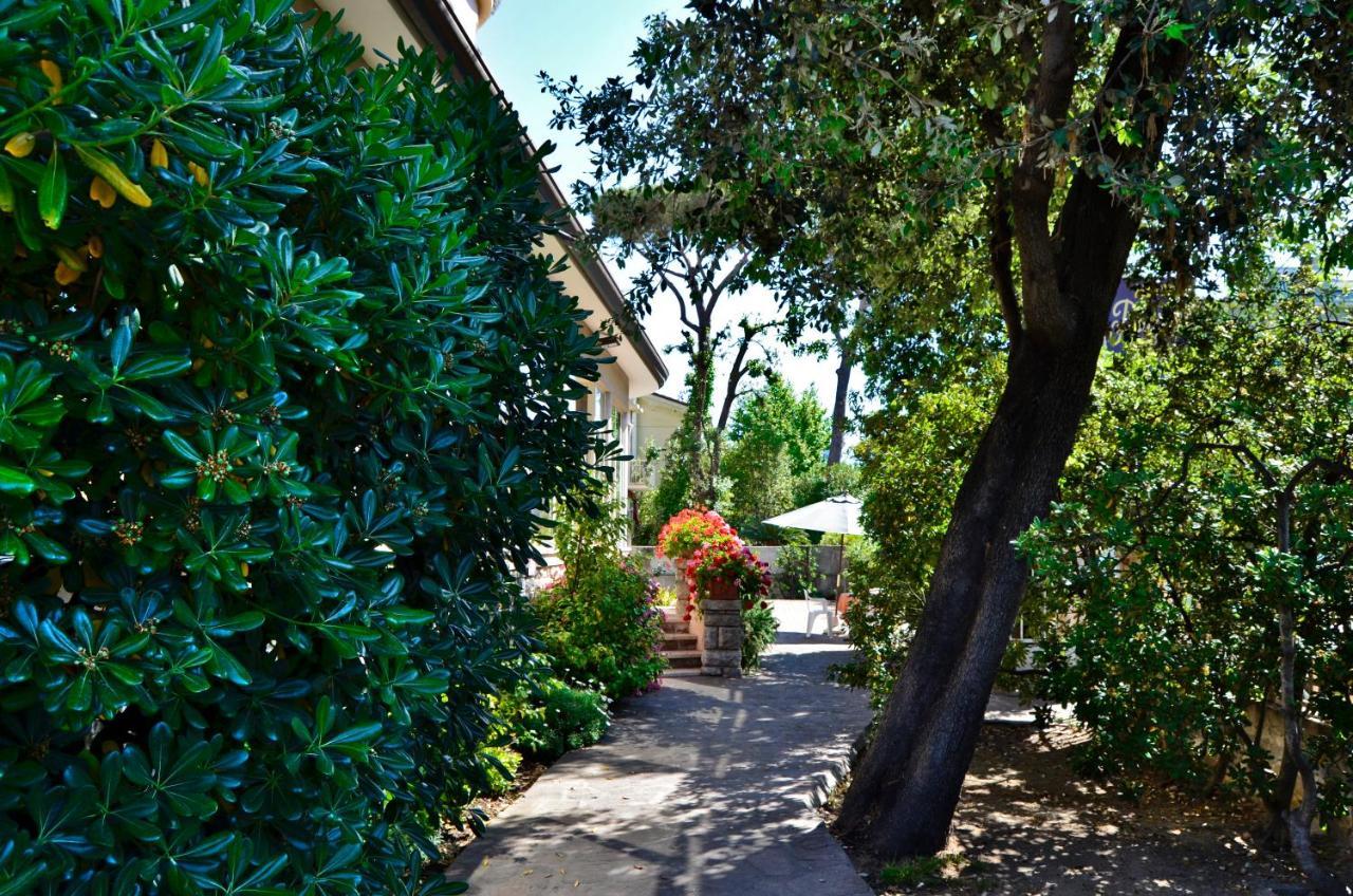 Hotel Puccinelli Lido di Camaiore Exterior photo